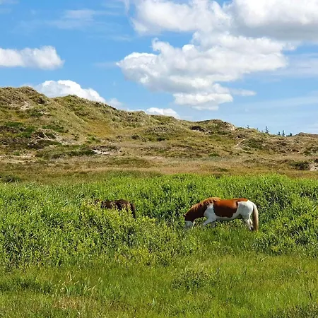 6 Person In Henne 別荘 ヘンネ・ストランド