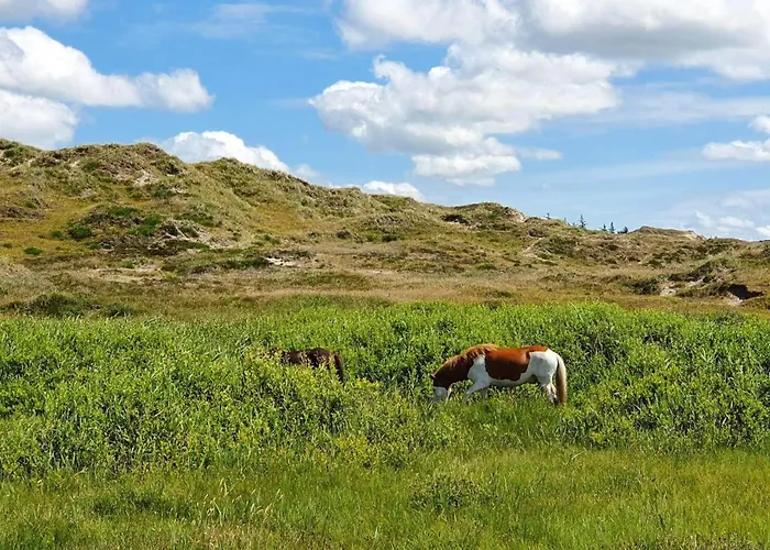 6 Person In Henne 別荘 ヘンネ・ストランド