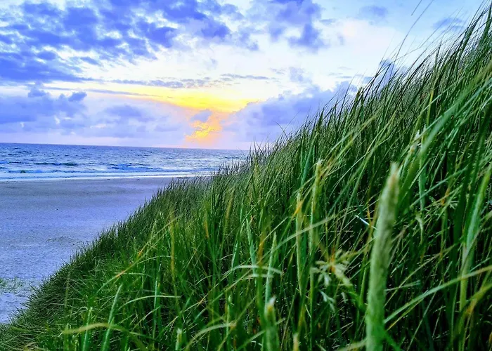 6 Person In Henne ヘンネ・ストランド